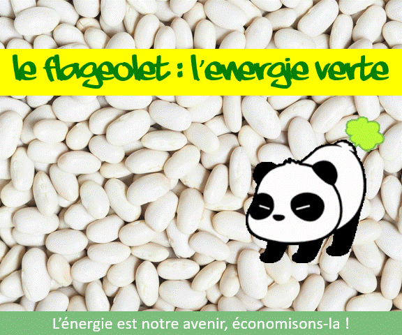 La bonne pub sur Pr4vd4.net